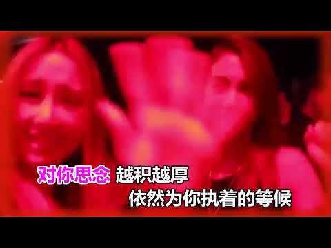 李英  愛到最後卻分手DJ版 MTV