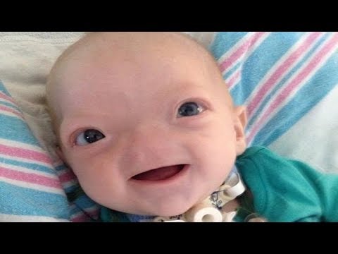 Meet Cutest babies Ever - Cute Babies and Toddlers Compilation