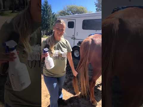 Fox's tail has been looking a little thin lately, so we are going to try out a tail bag for our guy!