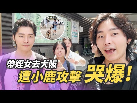 哭爆！帶姪女去大阪遭小鹿攻擊｜展榮展瑞K.R. Bros