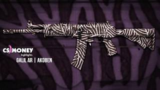 Galil AR Akoben Gameplay