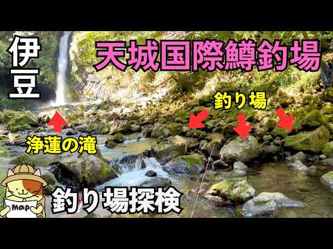 伊豆「天城国際鱒釣場」釣り場探検|日本の滝百選”浄蓮の滝”の真横でマス釣りが楽しめる絶景釣り場