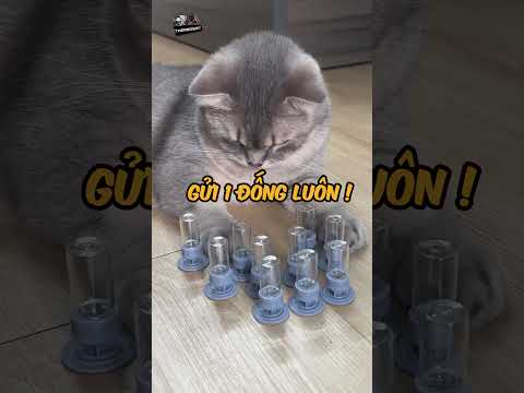 Cận cảnh kiến hút mật #thèmbòsát #shorts
