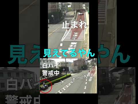 【現実？】白バイ見えるでしょ？の位置からまさかの違反が痛い輸入車　#shorts