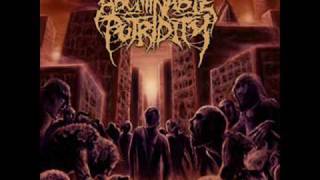 Abominable Putridity Chords