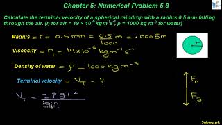 Class 11th | Punjab Board (2025-26) | Chapter 5 | Numerical Problem: 5.8