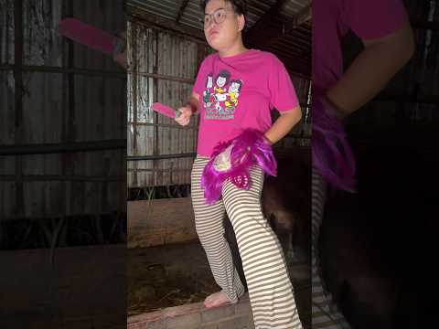 Đóng Cửa Lại Dùm Chị Đi Em #shorts