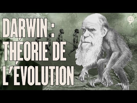 L’ÉVOLUTION : Une théorie qui cache un lourd secret… 🤯 | HNLD # 289 avec @toujours_vivants