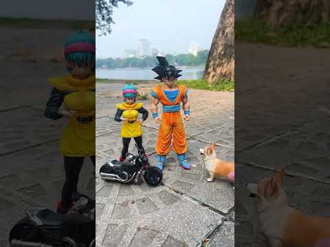 The Power of Dog Friendship for SonGoKu