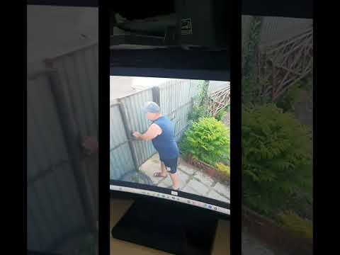 Не ставте камеры видеонаблюдения #юмор #смехпродлеваетжизнь #funny #семьявместе #огород