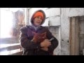 Pig Ear Notching Practices and Care