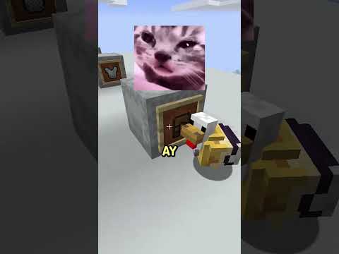 pollo vs pollo #minecraft #shorts