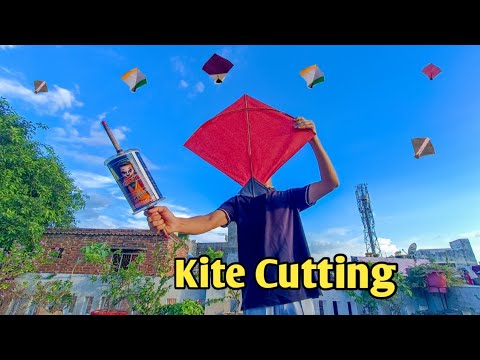 Kite Cutting 🔥 Kite Fighting in evening 🪁