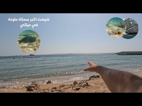 تروح شاطئ ايه في الغردقة ؟؟ Hurghada - Egypt