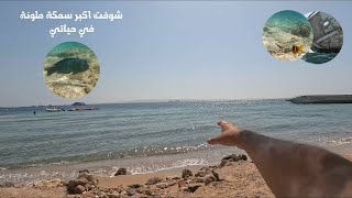 تروح شاطئ ايه في الغردقة ؟؟ Hurghada - Egypt