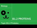 Protein Structure and Function Concepts