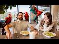 Pet Care and Animal Knowledge