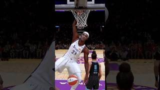 I Put LeBron In The WNBA