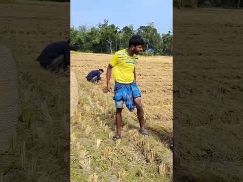 The best funny video of the village