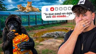 Actos imperdonables en este zoo de Portugal
