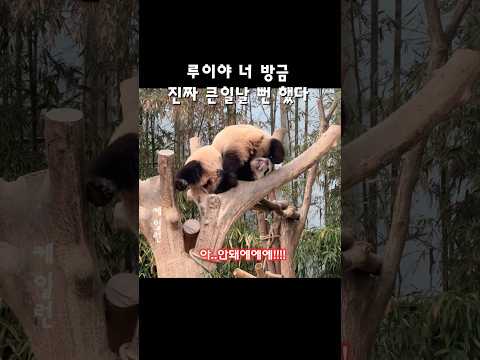 웅니.. 아~~ 해바바 😆