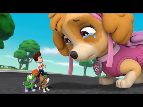 Paw Patrol on a Roll Ryder Rescue Mission Cartoon Fun Ep24 Nick Jr Hd