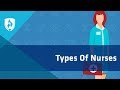 Understanding the Transcript