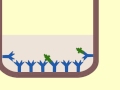 Enzyme Immunoassay Concepts