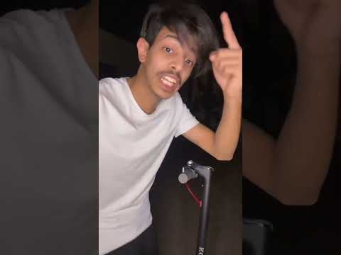 وش تحبون القطط ولا الكلاب
