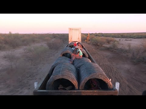 México: a bordo de “La Bestia”, el tren de carga utilizado por los migrantes