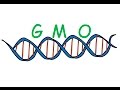 Understanding GMOs and Genetic Concepts