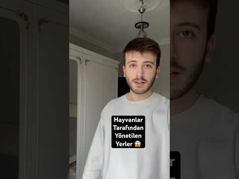 Hayvanlar tarafından yönetilen yerler