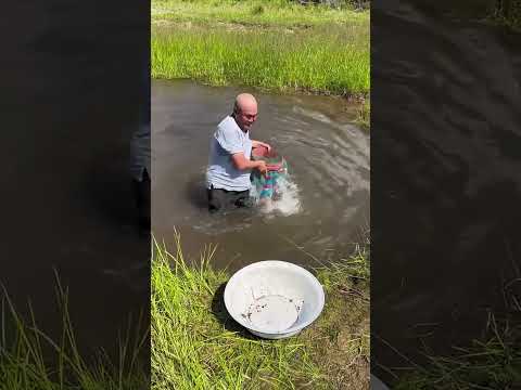【搞笑漁民真實生活】日出日落,勤勤恳恳!#fishing #shorts
