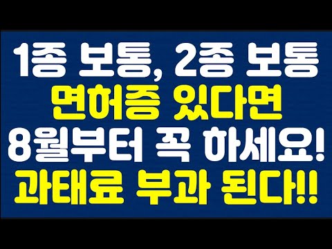 1종 보통, 2종 보통 면허증 있다면 8월부터 꼭 하세요! 과태료 부과 된다!!