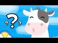 Understanding the Transcript