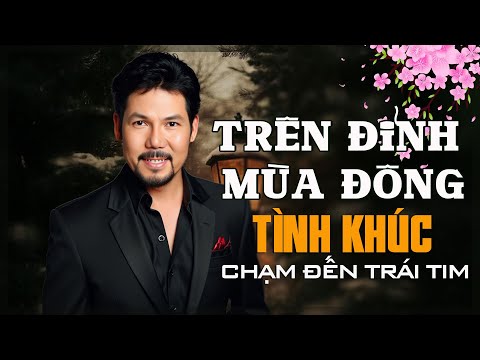 Tình Khúc Bất Hủ – Nhạc Yêu Thương Cho Đêm Khuya - Tình Ca Hải Ngoại Nhẹ Nhàng Ru ngủ Về Đêm