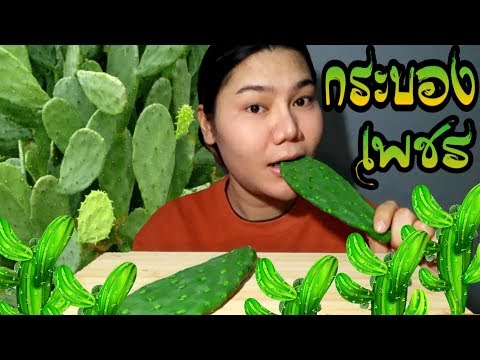 ไอซ์ซี่ กินยั่ว | #ASMR เสียงกินกระบองเพชร [ลองกินครั้งแรกในชีวิต ไม่รู้จะตายมั้ย]