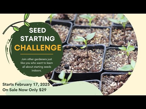 Join the 2025 Seed Starting Challenge