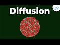 Exploring the Process of Cell Diffusion