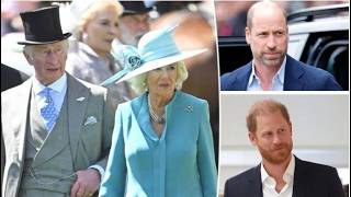 Königin Camillas wahre Gefühle zur Wiedervereinigung von Prinz William und Prinz Harry enthüllt