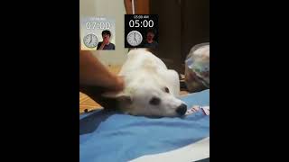 SABAH SABAH NE MAÇI A🤬K