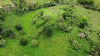 26 Acre Farm for Sale in Tierras Altas Chiriqui Panama SSS3161