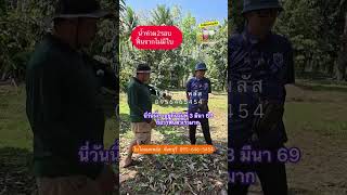 น้ำท่วม2รอบ จากใบไม่มี ไบโอแมกพลัสช่วยได้ ต้นฟื้นแถมได้ดอกธรรมชาติไม่ง้อสาร