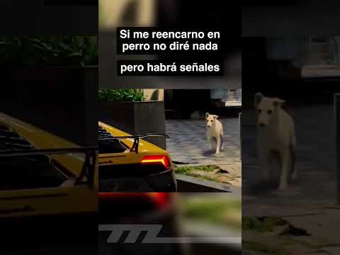 Seré ese perro que se levanta para disfrutar un V10