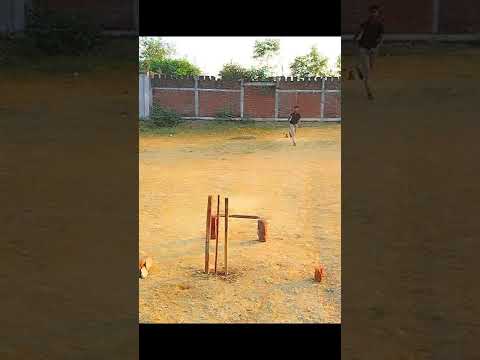 Yorker drill with tennis ball 🥎#cricket #practice #cricketshorts