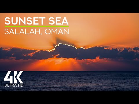 Gentle Sounds of Sunset Sea with Rolling Waves & Seagulls Squawking - 4K Coast of Salalah, Oman