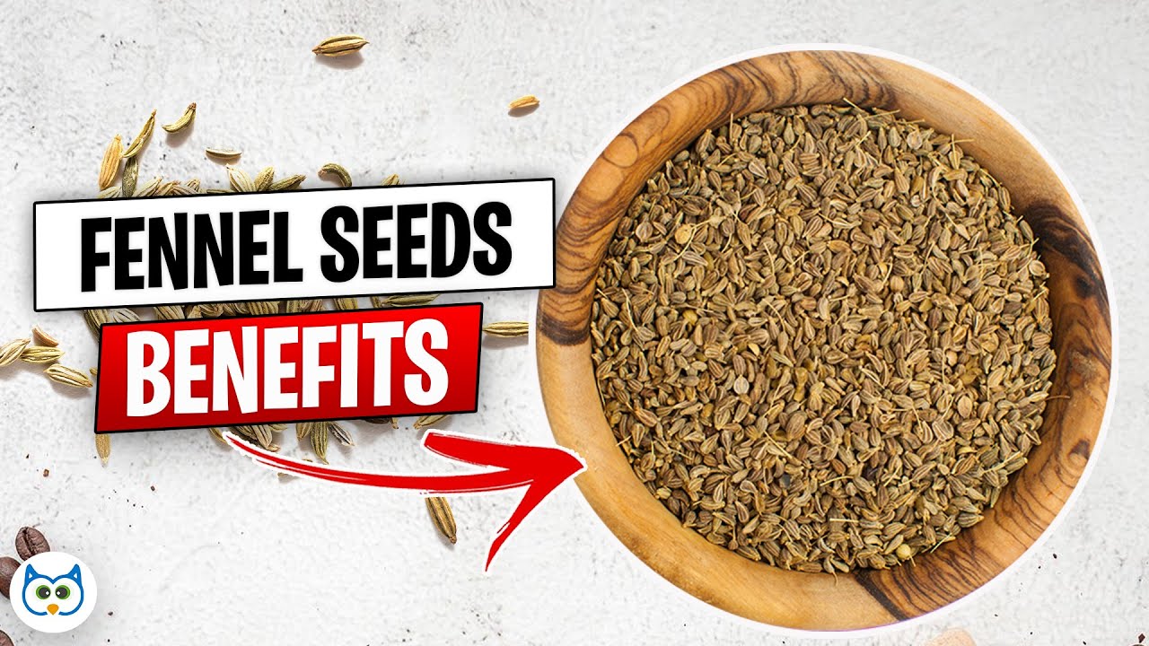 12 Fennel Seeds Benefits You Need To Know