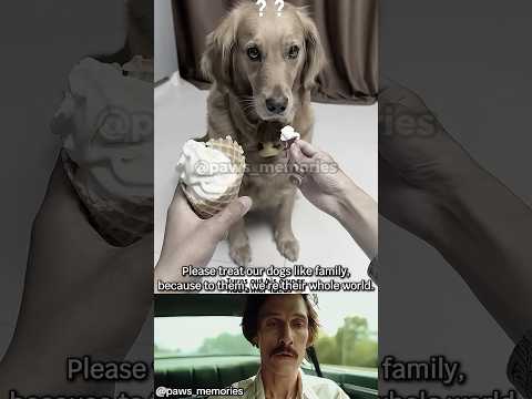 He Thought Heโd Get a Treat..Until the Owner Cut It in Half ๐ข Pets Deserve Better #dog #shorts