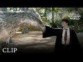 Hippogriffs and Buckbeak Interactions