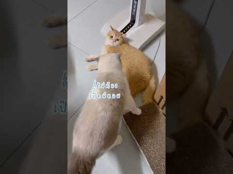 อย่าเปิดพัดลมกับแอร์พร้อมกัน